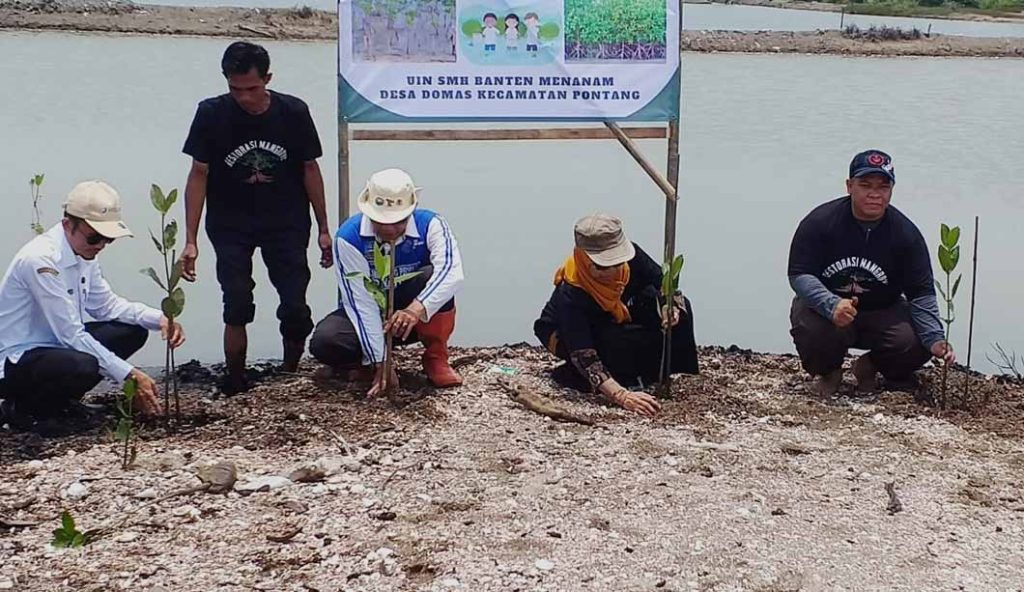Lazis Muhammadiyah Dan UIN Sultan Maulana Hasanuddin Banten Tanam Seribu Mangrove, Untuk Kurangi Pemanasan Global CirebonMU
